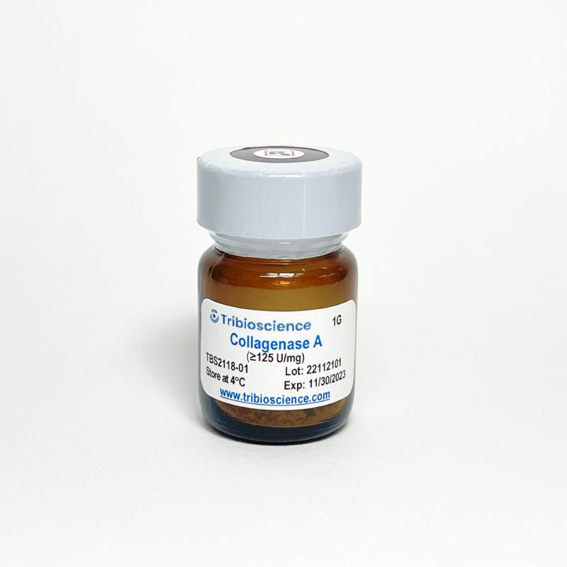 Collagenase A TBS2118-01 - Life Science - TriBioScience