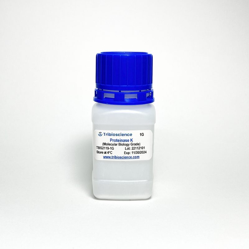 Proteinase K, Lyophilized Powder, Molecular Biology Grade TBS2119-0.5 - Life Science - TriBioScience