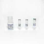 Glycerol Colorimetric Assay TBS2204C - Life Science - TriBioScience