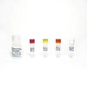Triglyceride Colorimetric Assay TBS2205C - Life Science - TriBioScience