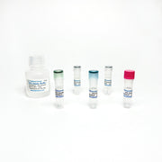 2-Phosphoglycerate Colorimetric / Fluorometric Assay TBS2206 - Life Science - TriBioScience