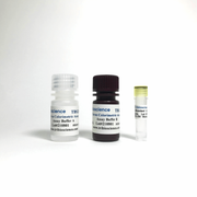 Boron Colorimetric Assay TBS2301-200 - Life Science - TriBioScience