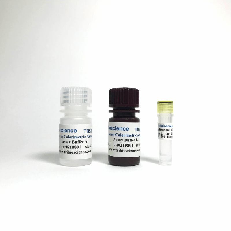 Boron Colorimetric Assay TBS2301-200 - Life Science - TriBioScience