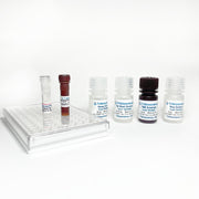 Mouse Tyrosine Hydroxylase/TH ELISA TBS3071 - ELISA - TriBioScience