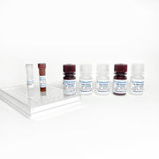 Tribo™ Mouse IL-17A/F ELISA Kit TBS3090 - ELISA - TriBioScience