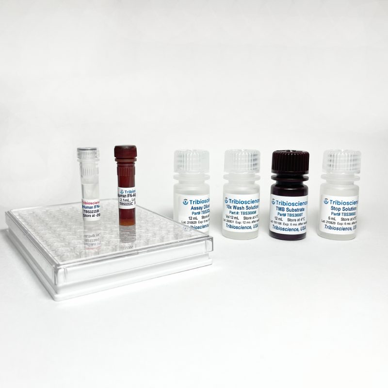 Human IFN-Alpha Fast ELISA TBS3211 - ELISA - TriBioScience