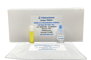 SARS-CoV-2 Neutralization Antibody Detection Fast Strip (Colloidal Gold Method) TBS3241-05 - ELISA - TriBioScience