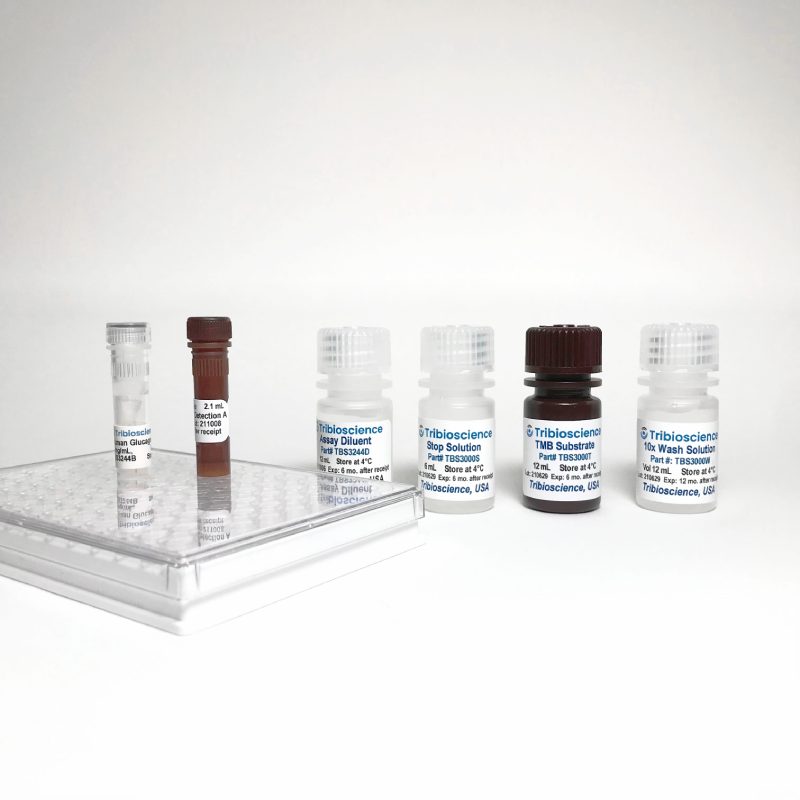 Human Glucagon ELISA TBS3244-01 - ELISA - TriBioScience