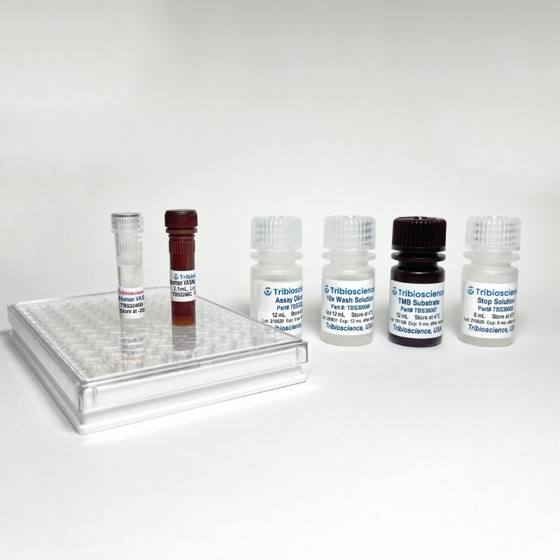 Ultra Sensitive Human VASN / SLITL2 ELISA TBS3246 - ELISA - TriBioScience