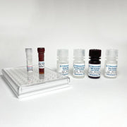 Human Transferrin Fast ELISA TBS3256 - ELISA - TriBioScience