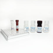 Human Testosterone Fast ELISA TBS3257 - ELISA - TriBioScience