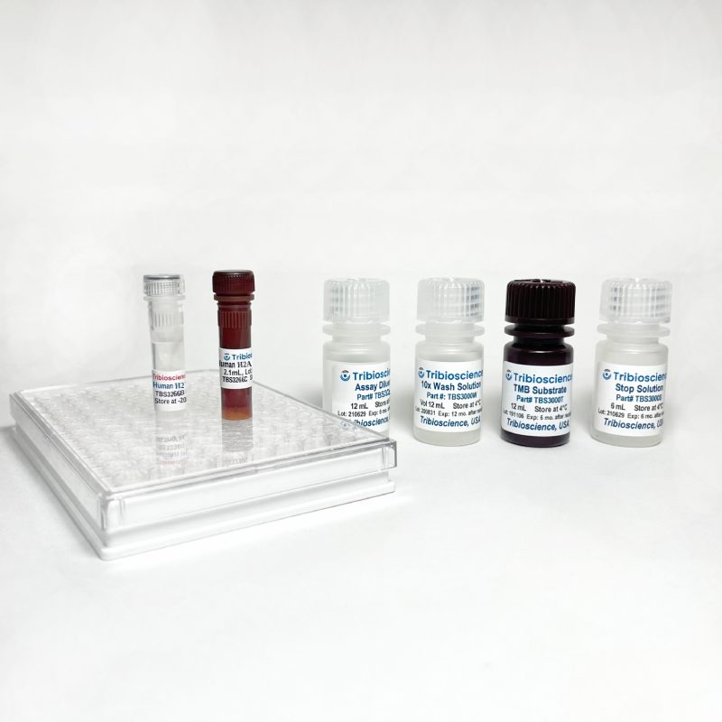 Human Total-H2AX Fast ELISA TBS3266 - ELISA - TriBioScience