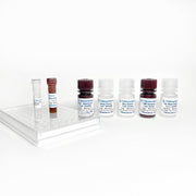 Fast Luteinizing Hormone α / LH-α ELISA, 1step and 1hr TBS3283 - ELISA - TriBioScience