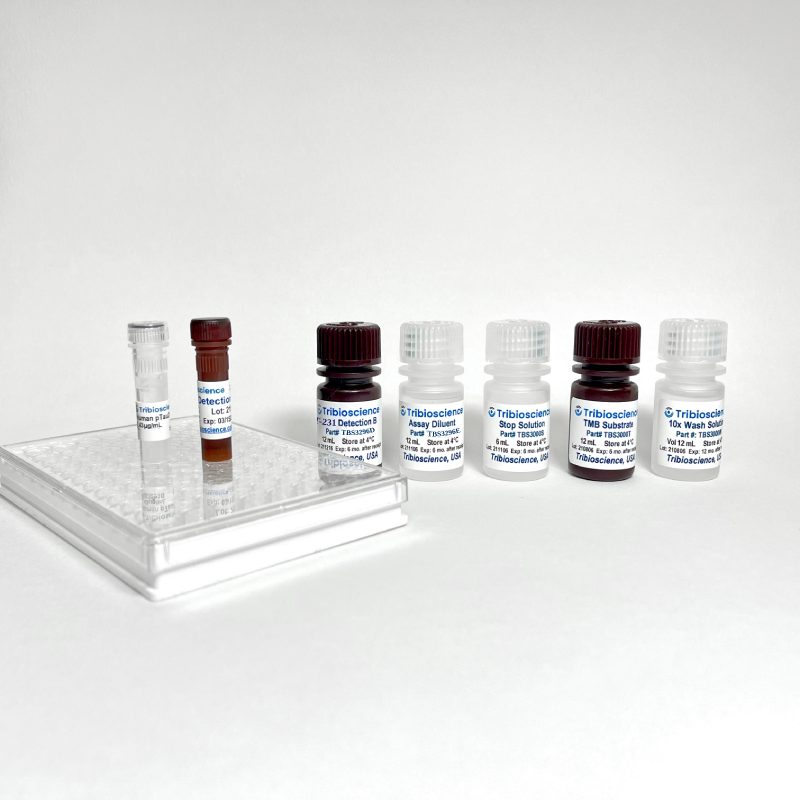 Fast Human Phospho Tau Thr231 (p-T231) ELISA TBS3296 - ELISA - TriBioScience