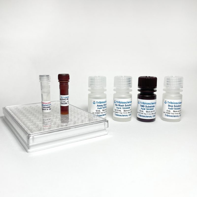 Fast Human Amyloid Beta 40 / Aβ40 ELISA TBS3298 - ELISA - TriBioScience