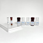 Canine IL-12/IL-23 Fast ELISA TBS33012 - ELISA - TriBioScience