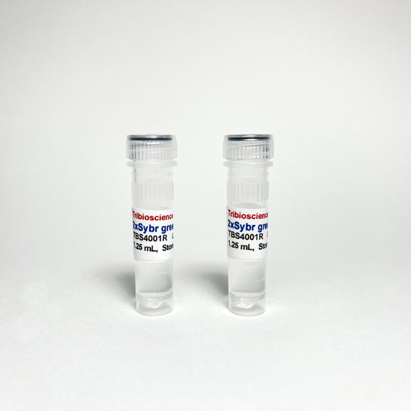 Tribo™ 2x Sybr qPCR Super Mix TBS4001R-1.25 - RT-PCR Kits - TriBioScience