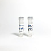 Tribo™ 2x TaqMan qPCR Super Mix TBS4002R-1.25 - RT-PCR Kits - TriBioScience