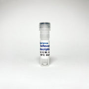 Tribo™ Reverse Transcription Reaction Kit TBS4006 - RT-PCR Kits - TriBioScience