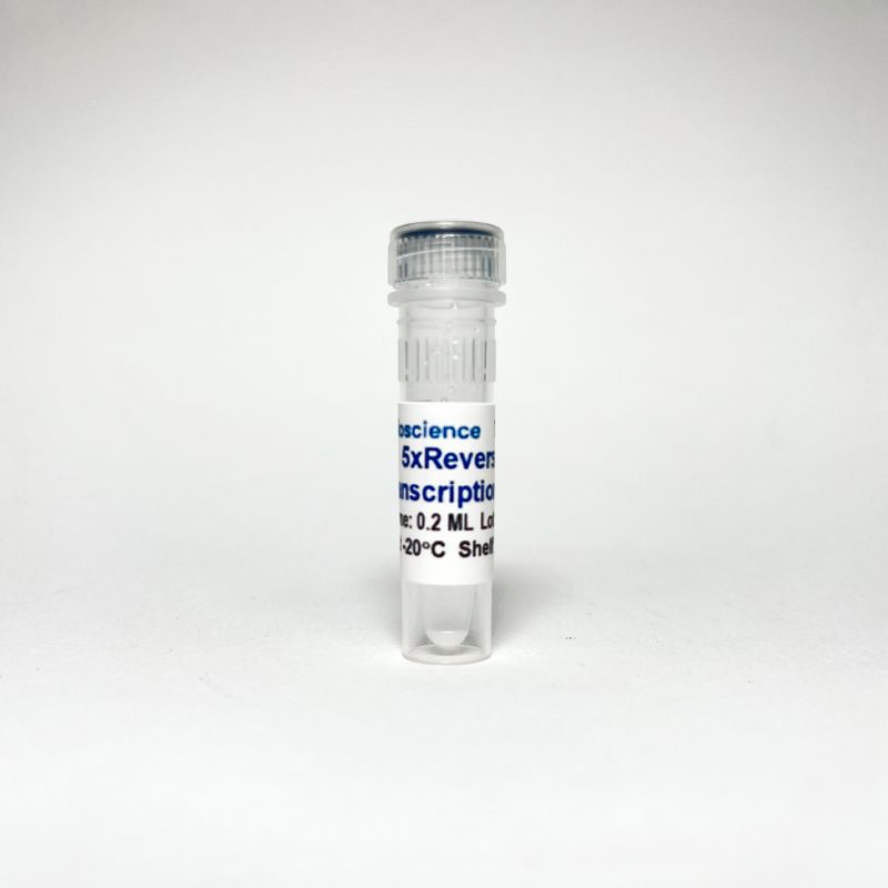 Tribo™ Reverse Transcription Reaction Kit TBS4006 - RT-PCR Kits - TriBioScience