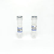 One-Step TaqProbe qRT-PCR Kit TBS4008R - RT-PCR Kits - TriBioScience