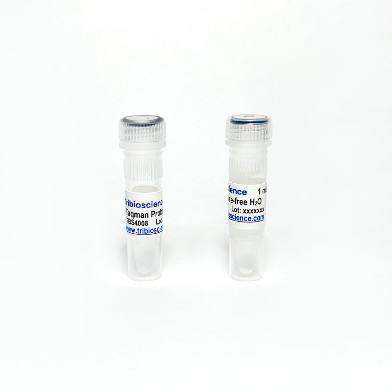 One-Step TaqProbe qRT-PCR Kit TBS4008R - RT-PCR Kits - TriBioScience