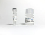 One-Step Probe qRT-PCR (4x) TBS4009-01 - RT-PCR Kits - TriBioScience