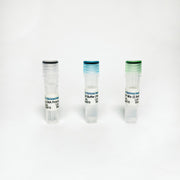 Tribo™ Taq DNA Polymerase TBS4010 - RT-PCR Kits - TriBioScience