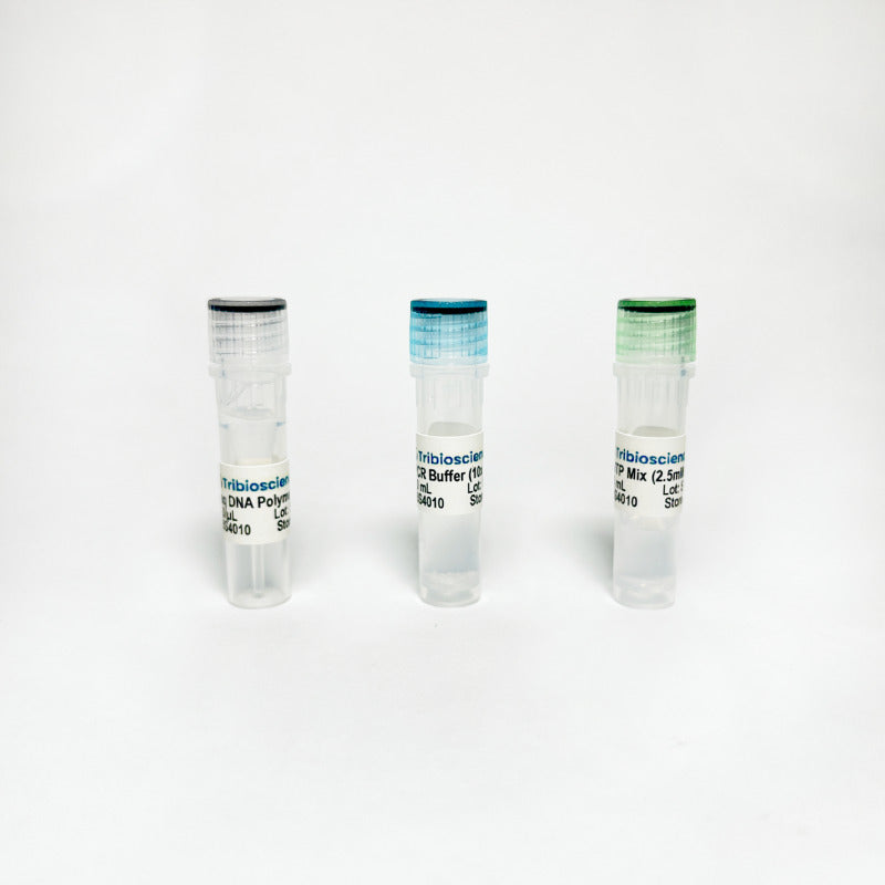 Tribo™ Taq DNA Polymerase TBS4010 - RT-PCR Kits - TriBioScience