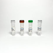 Probe qPCR Master Mix TBS4011-100 - RT-PCR Kits - TriBioScience