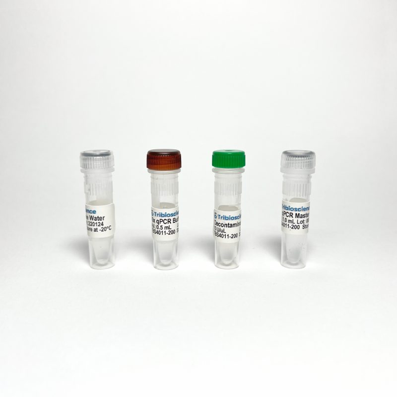 Probe qPCR Master Mix TBS4011-100 - RT-PCR Kits - TriBioScience