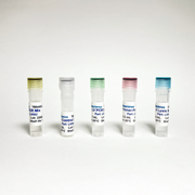 Lentivirus qPCR Titer Kit TBS4052-100 - RT-PCR Kits - TriBioScience