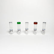 M13 Phage/Bacteriophage qPCR Titer TBS4053 - RT-PCR Kits - TriBioScience
