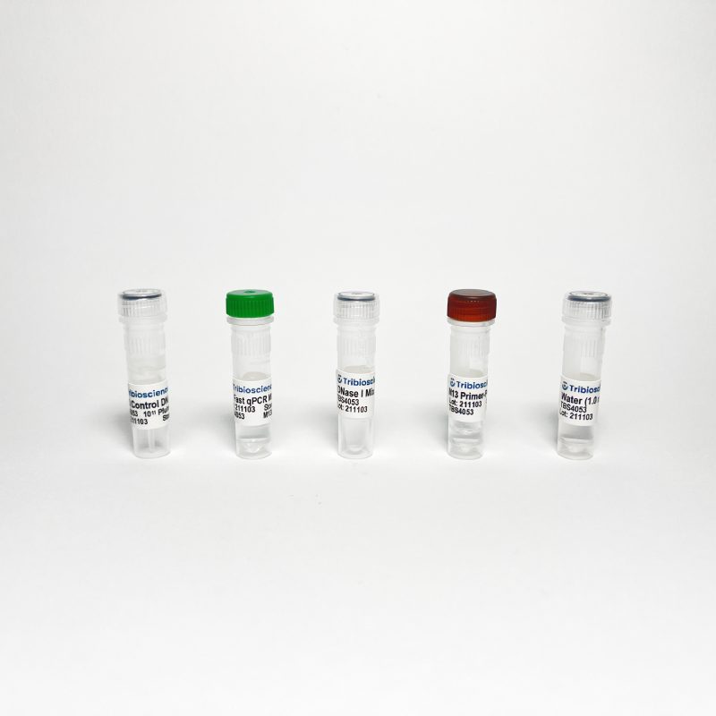 M13 Phage/Bacteriophage qPCR Titer TBS4053 - RT-PCR Kits - TriBioScience
