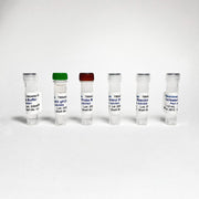 Universal AAV qPCR FAST Titer TBS4054-100 - RT-PCR Kits - TriBioScience