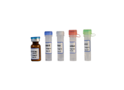 Covid-19 one-step RT-qPCR Kit (Lyophilized) TBS4110-100 - RT-PCR Kits - TriBioScience