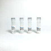 Arabis Mosaic Virus (ArMV) RT-qPCR Detection System TBS42014-50 - RT-PCR Kits - TriBioScience