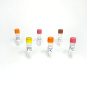 Bacteriophage MS2 RT-PCR Detection TBS42052-50 - RT-PCR Kits - TriBioScience