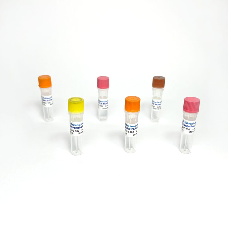 Bacteriophage MS2 RT-PCR Detection TBS42052-50 - RT-PCR Kits - TriBioScience