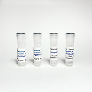 Bacillus Subtilis qPCR Kit TBS42053-100 - Food Safety - TriBioScience
