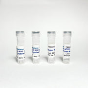 Maize GMO 98140 qPCR Detection TBS43001-100 - Food Safety - TriBioScience