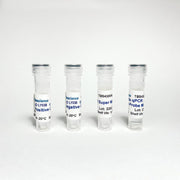 Maize GMO LY038 qPCR Detection TBS43004-100 - Food Safety - TriBioScience