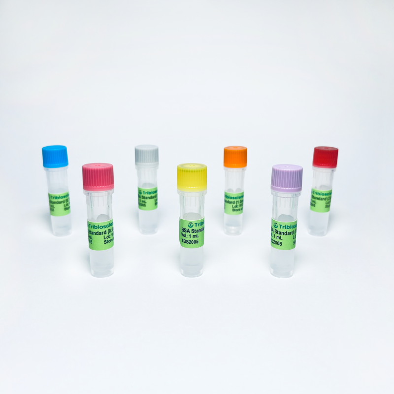 BSA Standard Solution TBS5002 - Common Reagents - TriBioScience