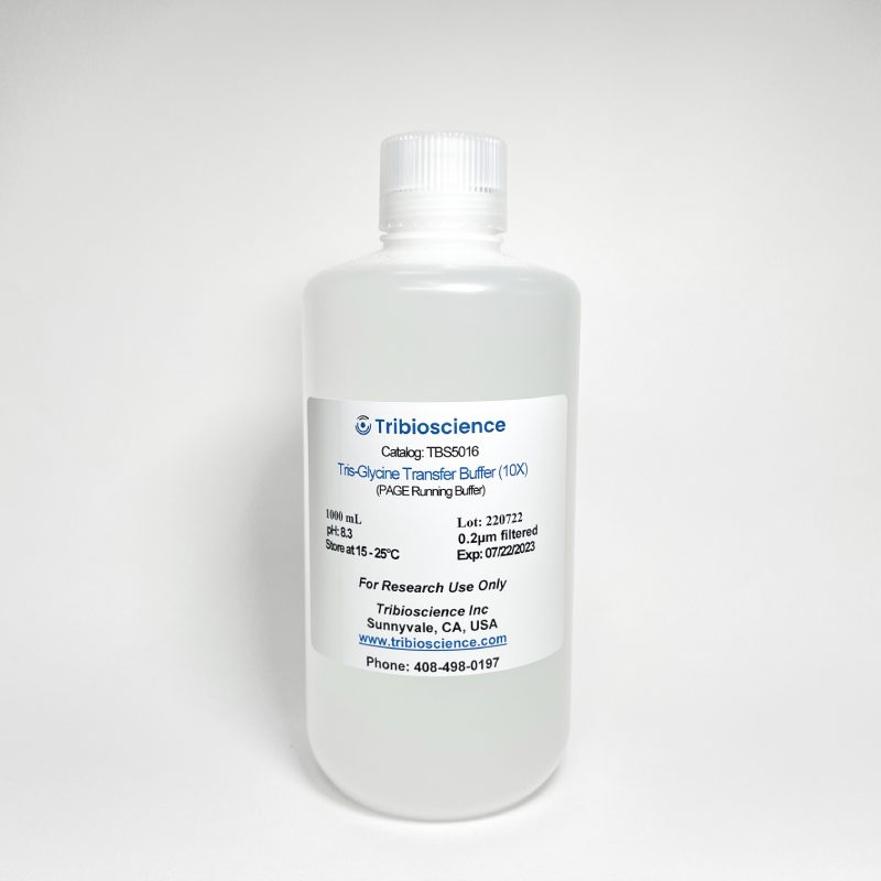 10x PAGE-gel transfer buffer TBS5016 - Common Reagents - TriBioScience