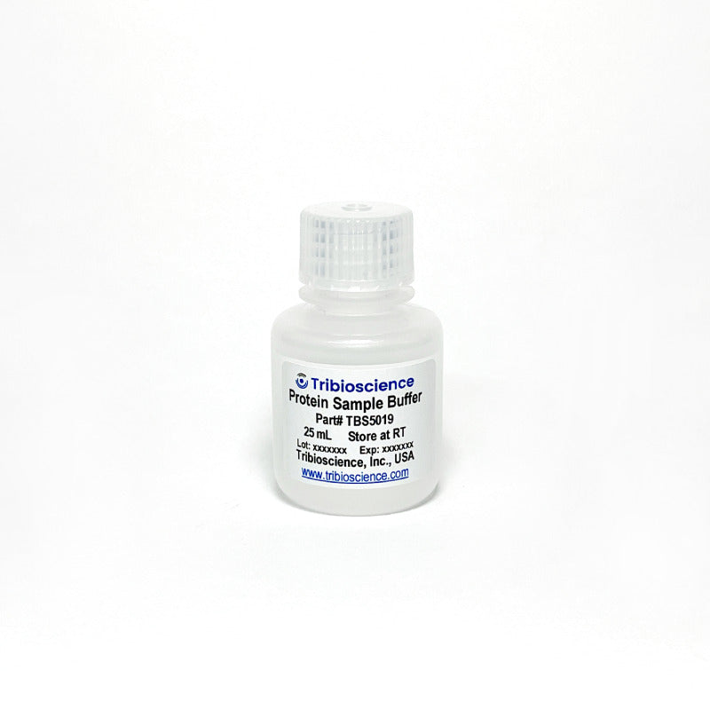 2x Protein Sample Buffer TBS5019 - Common Reagents - TriBioScience
