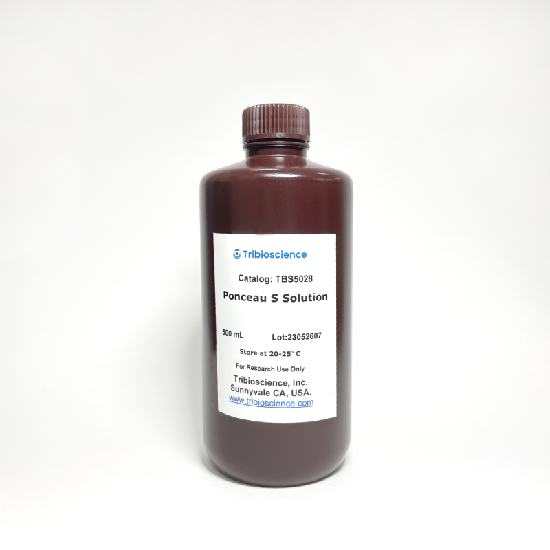 Ponceau S Solution TBS5028 - Common Reagents - TriBioScience