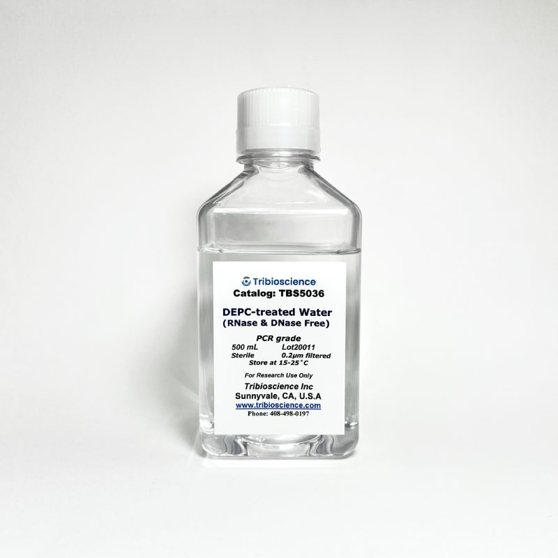 DEPC-Treated Water TBS5036 - Common Reagents - TriBioScience