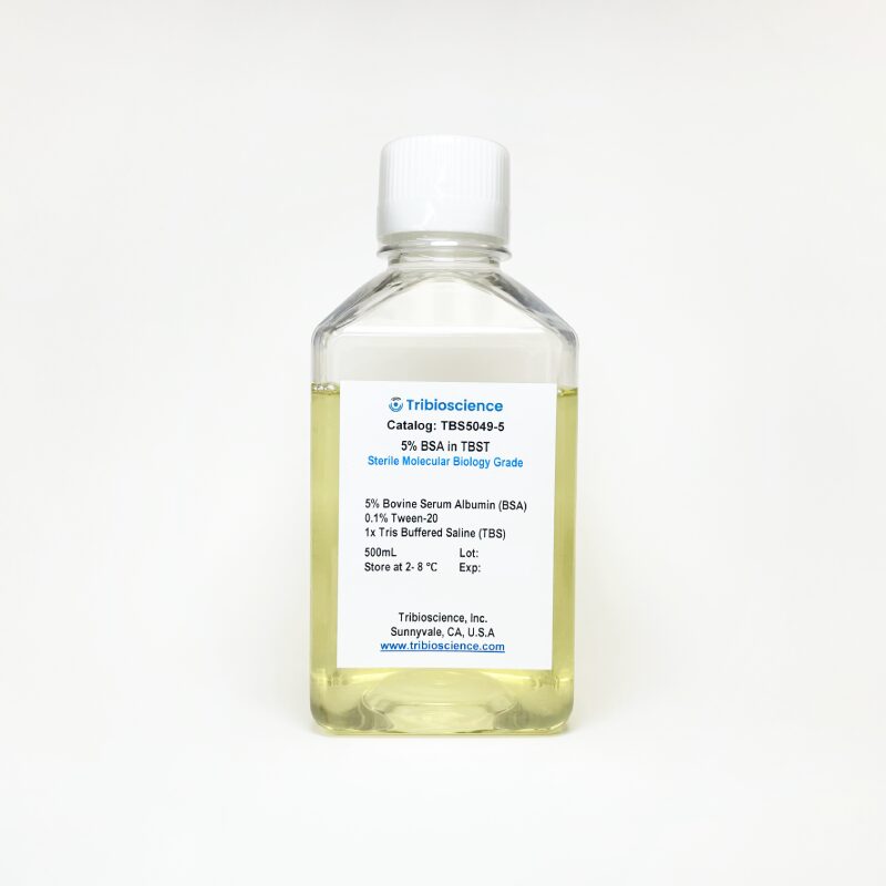 Tribo™ 5% Bovine Serum Albumin in TBST Buffer TBS5049-5 - Common Reagents - TriBioScience