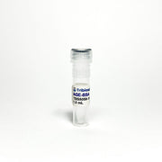 AGE-BSA, 10mg/mL in PBS TBS5059-10 - Common Reagents - TriBioScience