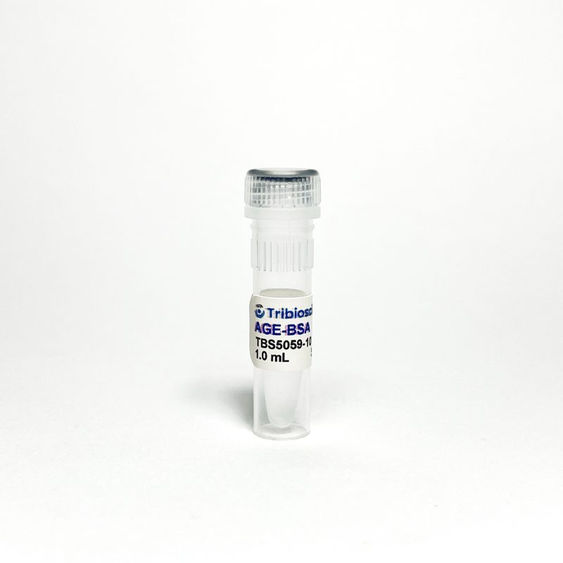 AGE-BSA, 10mg/mL in PBS TBS5059-10 - Common Reagents - TriBioScience